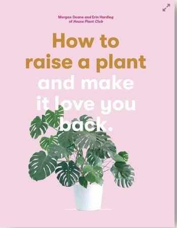 Boken - How to Raise a Plant